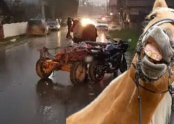 Căruța turbo vs. Motocicleta fantomă – duelul bahic din Goruni