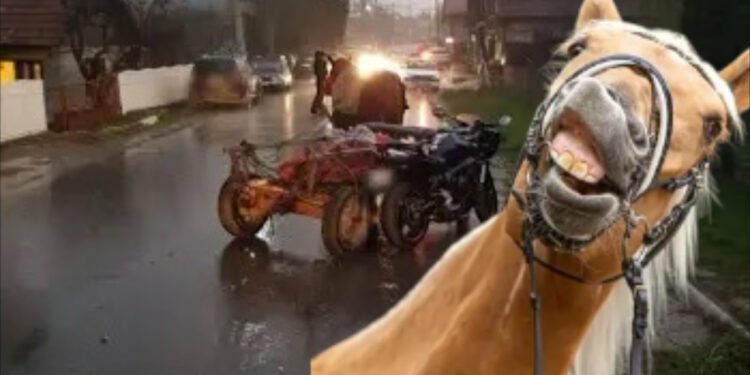 Căruța turbo vs. Motocicleta fantomă – duelul bahic din Goruni