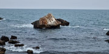 Marea Neagră, în centrul negocierilor dintre SUA și Rusia