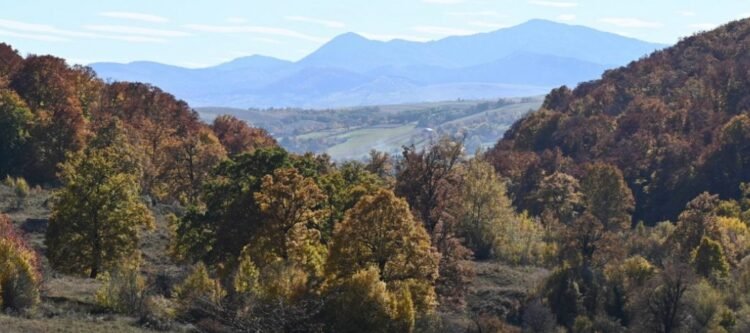 Suprafețele protejate din județul Neamț vor fi extinse cu 43.000 de hectare