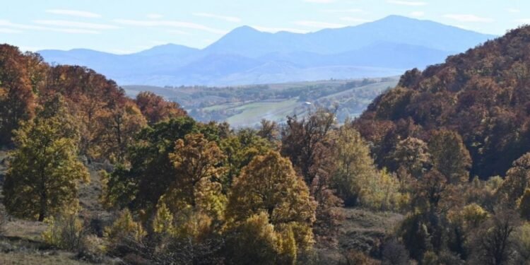 Suprafețele protejate din județul Neamț vor fi extinse cu 43.000 de hectare