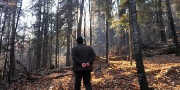 Guvernul a modificat statutul personalului silvic