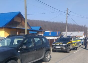 18 tone de trufe recoltate ilegal de o firmă din Neamț