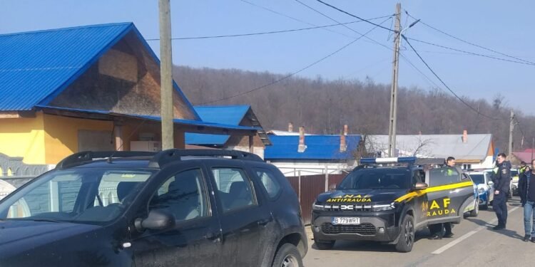 18 tone de trufe recoltate ilegal de o firmă din Neamț