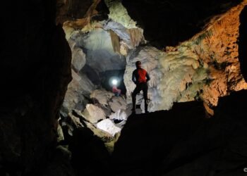 Peştera Grota Ursului din Moneasa se deschide vizitatorilor