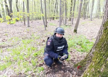 Botoșani: Element de muniție rămas neexplodat găsit de un bărbat care culegea ciuperci