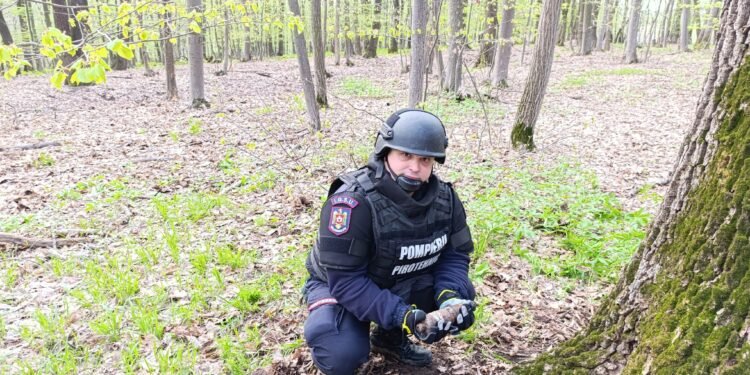 Botoșani: Element de muniție rămas neexplodat găsit de un bărbat care culegea ciuperci