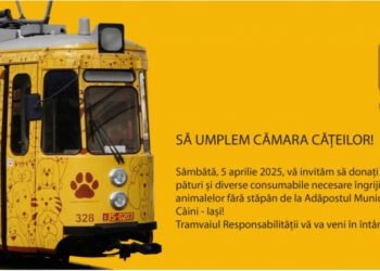 „Tramvaiul Responsabilității” pornește din nou la drum pentru cățeii fără stăpân