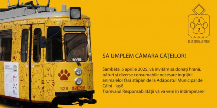 „Tramvaiul Responsabilității” pornește din nou la drum pentru cățeii fără stăpân