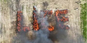Au dat foc la droguri și au amețit un oraș întreg: Lice, fumat din greșeală