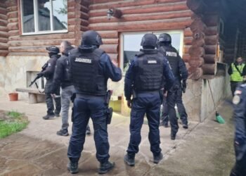 Fostul șef al vânătorilor din Suceava a fost reținut pentru uciderea unui câine și deținerea ilegală de arme