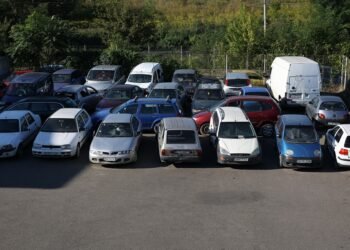 Peste 3000 de rable au dispărut de pe străzile din Iași