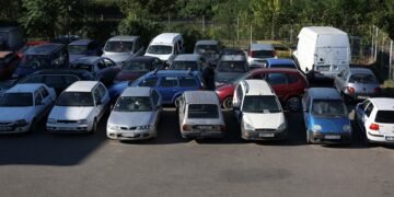 Peste 3000 de rable au dispărut de pe străzile din Iași