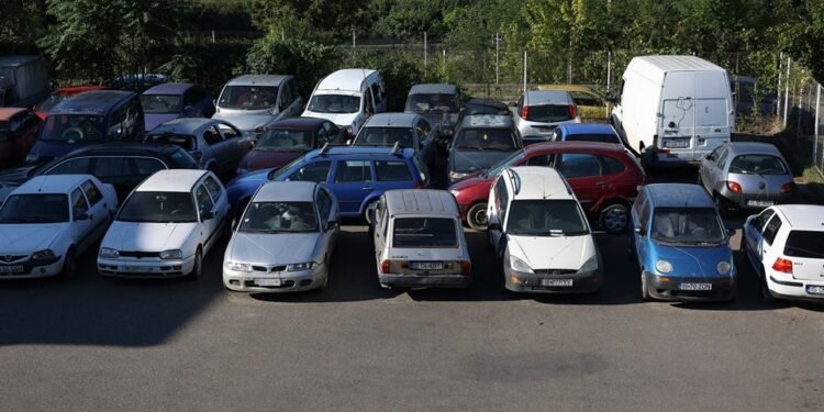 Peste 3000 de rable au dispărut de pe străzile din Iași