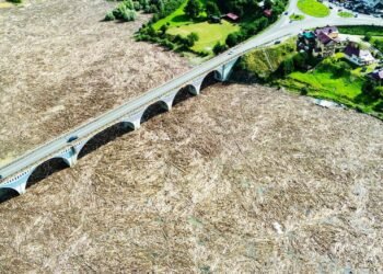 Romsilva susține că buștenii din zona Viaductului Poiana Teiului nu provin din defrișări ilegale ci de la gospodăriile afectate de inundații