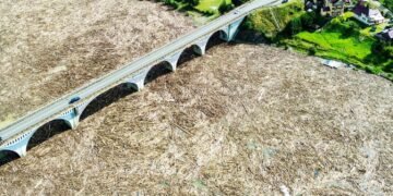 Romsilva susține că buștenii din zona Viaductului Poiana Teiului nu provin din defrișări ilegale ci de la gospodăriile afectate de inundații