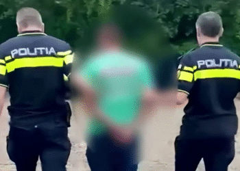 Bărbat din Bacău, reținut după ce a ucis cu intenție un câine. Fapta a fost reclamată la 112