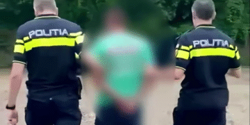 Bărbat din Bacău, reținut după ce a ucis cu intenție un câine. Fapta a fost reclamată la 112