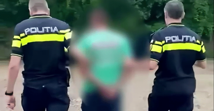 Bărbat din Bacău, reținut după ce a ucis cu intenție un câine. Fapta a fost reclamată la 112