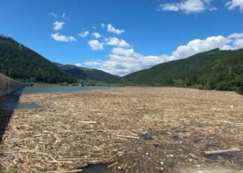Video: Autoritățile intră în alertă: Lacul Bicaz, contaminat de gunoaie și cadavre, amenință sănătatea publică