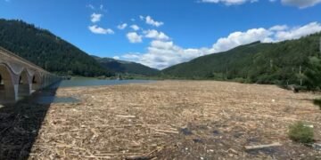 Video: Autoritățile intră în alertă: Lacul Bicaz, contaminat de gunoaie și cadavre, amenință sănătatea publică