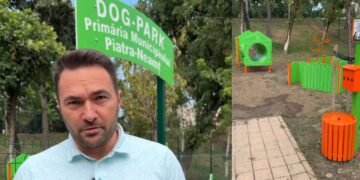Piatra-Neamț va avea primele dog parkuri: primarul promite oraș sigur pentru copii și prietenos cu patrupezii