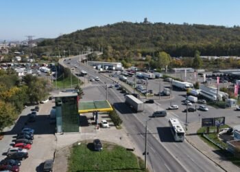 O treime din pădurile Iașului a dispărut după 1990 – reîmpădurirea, la pământ