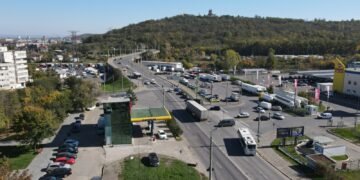 O treime din pădurile Iașului a dispărut după 1990 – reîmpădurirea, la pământ