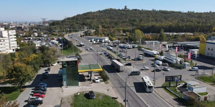 O treime din pădurile Iașului a dispărut după 1990 – reîmpădurirea, la pământ