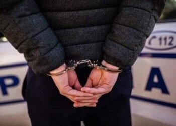 Doi ani de închisoare pentru cruzime: bărbat din Târgu-Neamț, condamnat după ce a ucis în bătaie câinele vecinilor