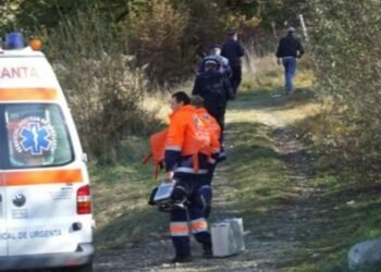 A mers la cules de ciuperci și a venit cu un bebeluș! Naștere în pădure, la Poienari