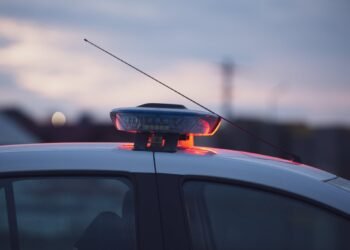 Tragedie în Plopi: O femeie de 85 de ani găsită fără viață, cu brațul amputat. Poliția investighează moartea suspectă – sătenii vorbesc despre un posibil atac al câinilor vagabonzi