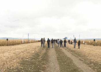 Sprijin financiar pentru agricultorii afectați de condiții meteo extreme