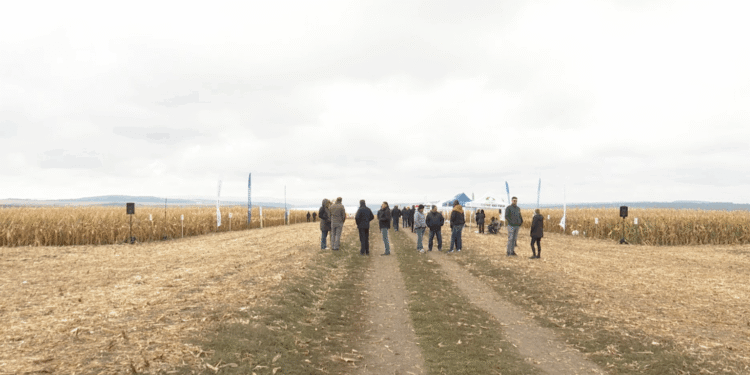 Sprijin financiar pentru agricultorii afectați de condiții meteo extreme