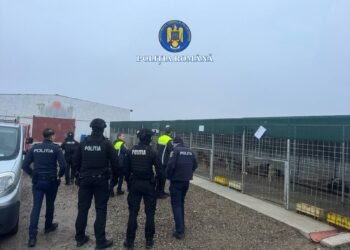 6 perchezitii domiciliare in Vrancea in cazul adapostului de caini