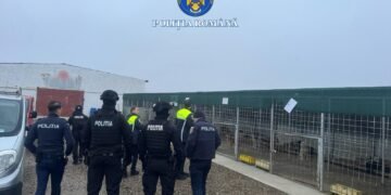 6 perchezitii domiciliare in Vrancea in cazul adapostului de caini