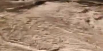 Trafic îngreunat pe DN 2 (E85), în zona Podgoria, din cauza aluviunilor aduse de ploi torențiale