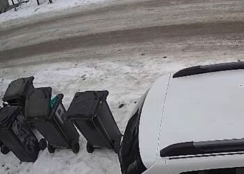 Un bătrân de 88 de ani a fost surprins că a abandonat un câine în comuna Răducăneni. L-a legat cu sârmă lângă un tomberon