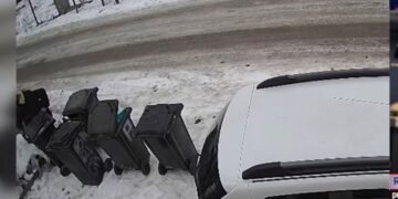 Un bătrân de 88 de ani a fost surprins că a abandonat un câine în comuna Răducăneni. L-a legat cu sârmă lângă un tomberon