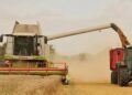 agricultura