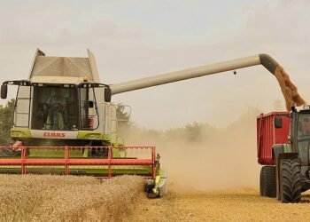 Explozie în agricultură: România ar putea avea recolte duble anul acesta! Decizia care ar putea schimba și prețurile din magazine