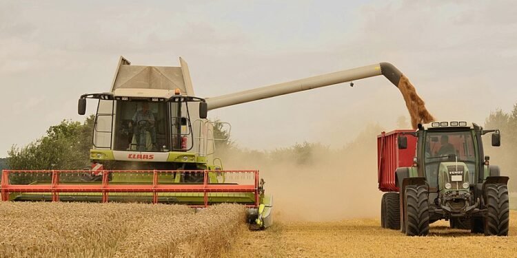 Explozie în agricultură: România ar putea avea recolte duble anul acesta! Decizia care ar putea schimba și prețurile din magazine