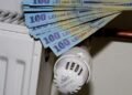 Experții au stabilit care metodă de încălzire este mai ieftină: o sobă, o centrală pe lemne sau o centrală pe gaz