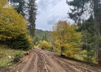 Autostrada A8 face un pas decisiv: exproprieri pe peste 6,9 milioane mp pentru tronsonul Târgu Mureș – Târgu Neamț