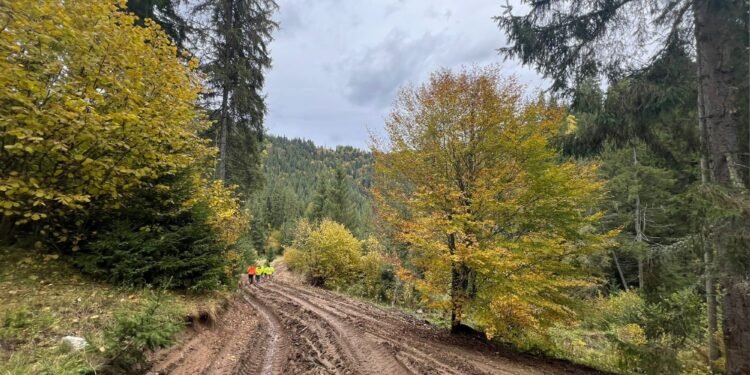 Autostrada A8 face un pas decisiv: exproprieri pe peste 6,9 milioane mp pentru tronsonul Târgu Mureș – Târgu Neamț