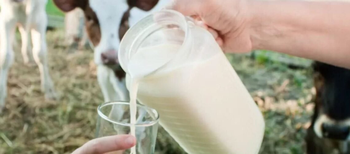 Ce să mănânci pentru sănătatea creierului. Oamenii de știință au făcut o descoperire neașteptată