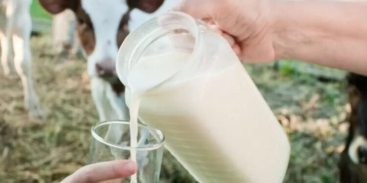 Ce să mănânci pentru sănătatea creierului. Oamenii de știință au făcut o descoperire neașteptată