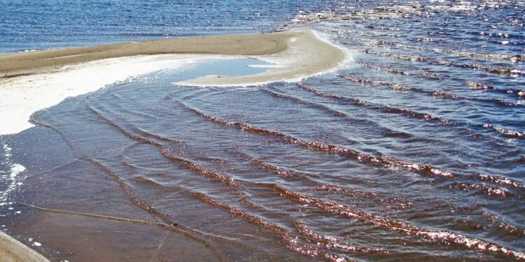 Marea Baltica