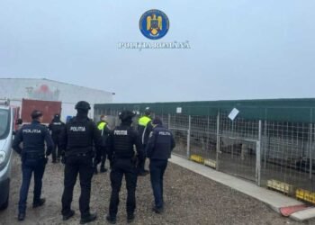 Dosar penal la Suraia pentru uciderea câinilor: trei inculpați plasați sub control judiciar și activitatea adăpostului restricționată