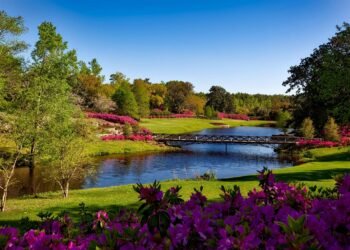 Primăvară extremă în Europa! De la 20°C la ninsori peste noapte – fenomenul care dă peste cap vremea